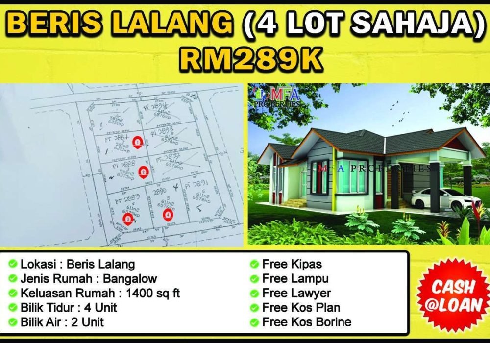 WhatsApp Image 2024-04-23 at 11.55.41